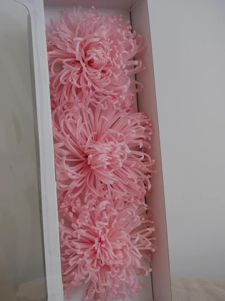 Chrysanthème Anastasia Stabilisé rose boite