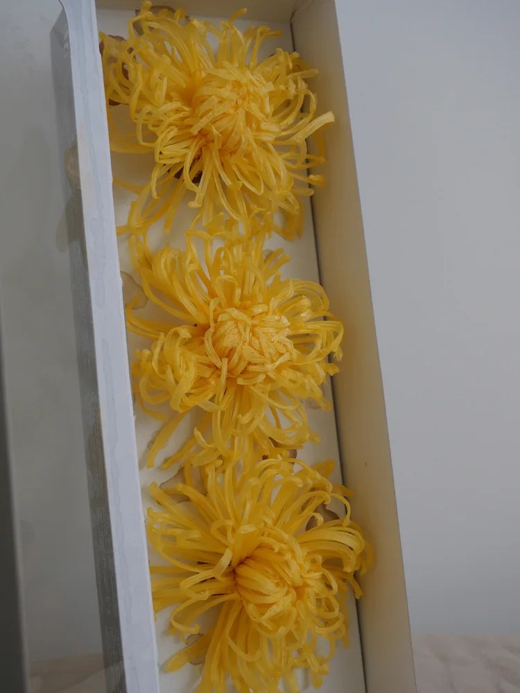 Chrysanthème Anastasia Stabilisé jaune boite