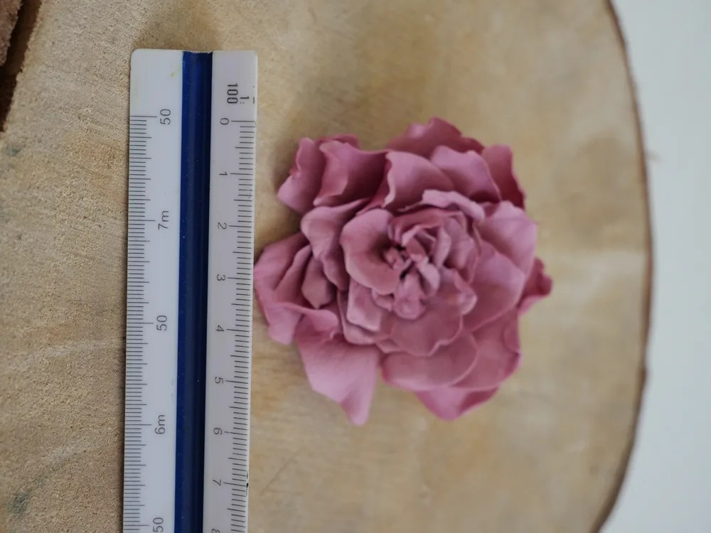 Gardenia cranberry stabilisé dimension