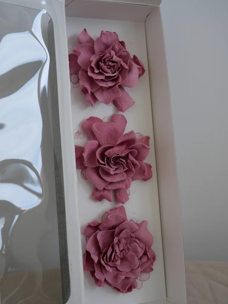 Gardenia cranberry stabilisé boite