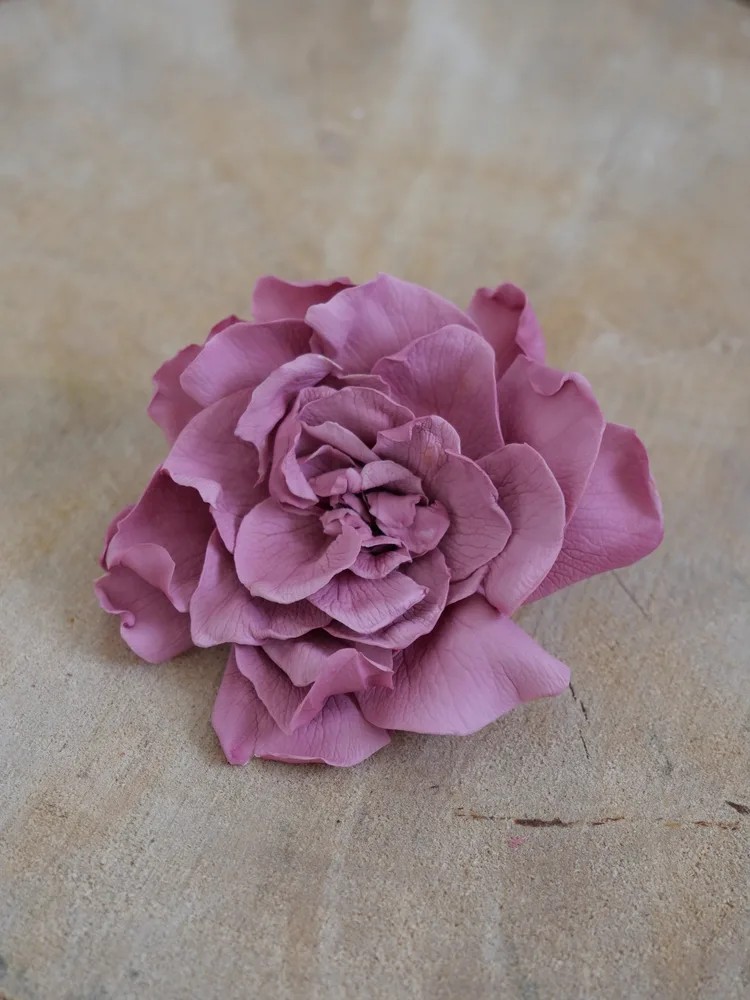 Gardenia cranberry stabilisé