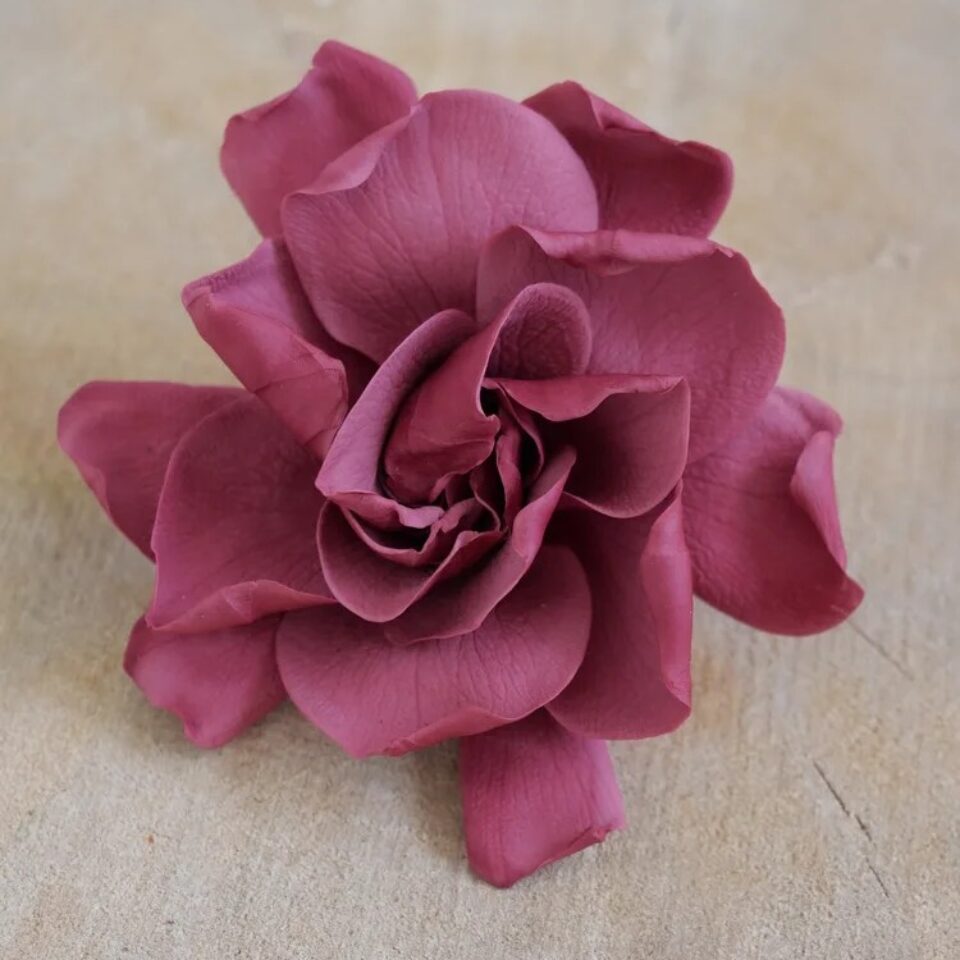 Gardenia Stabilisé X3