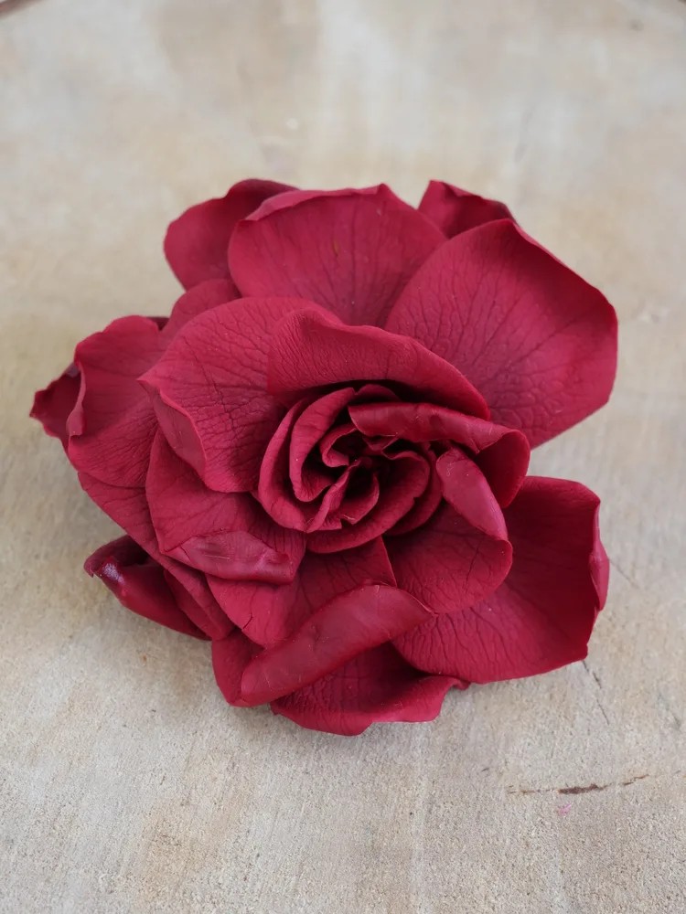 gardenia burgundy stabilisé