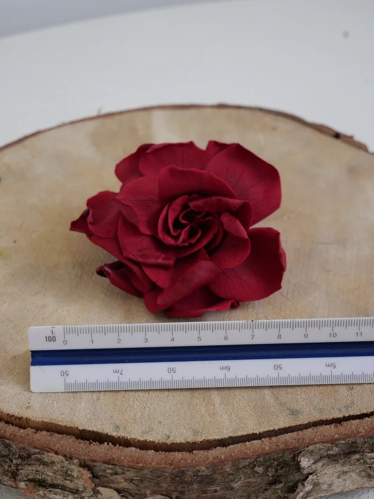 gardenia burgundy stabilisé dimension