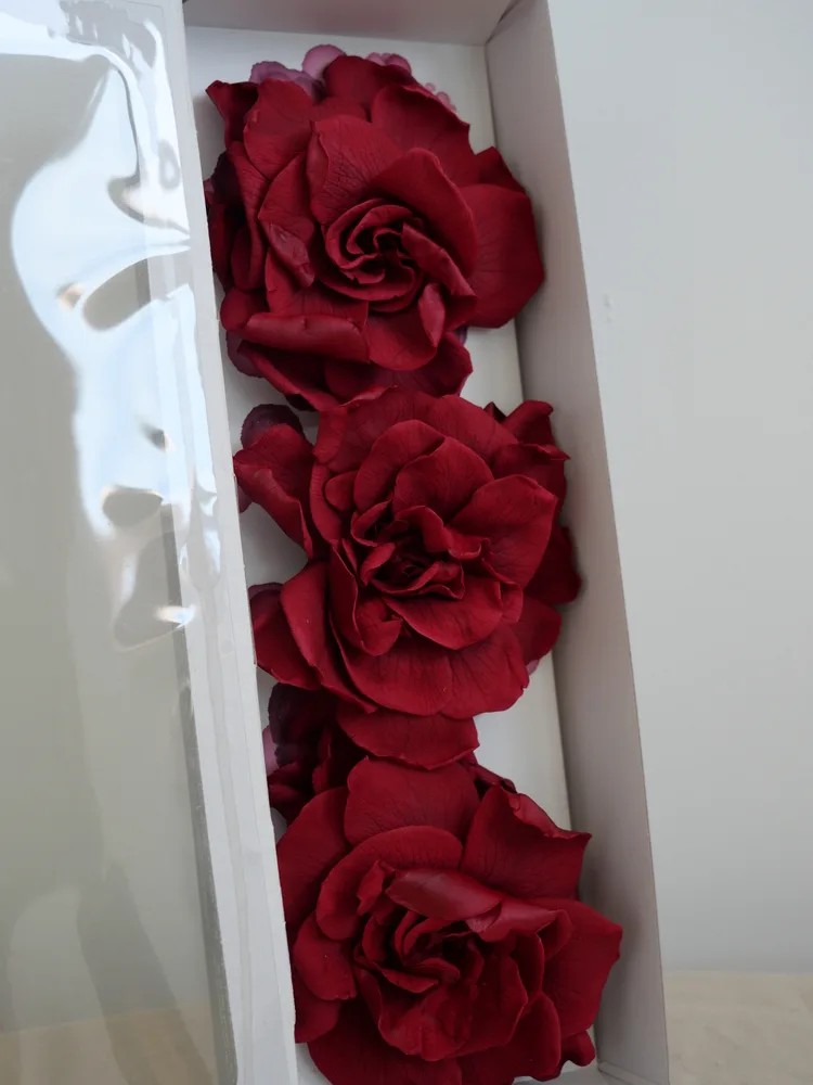 gardenia burgundy stabilisé
