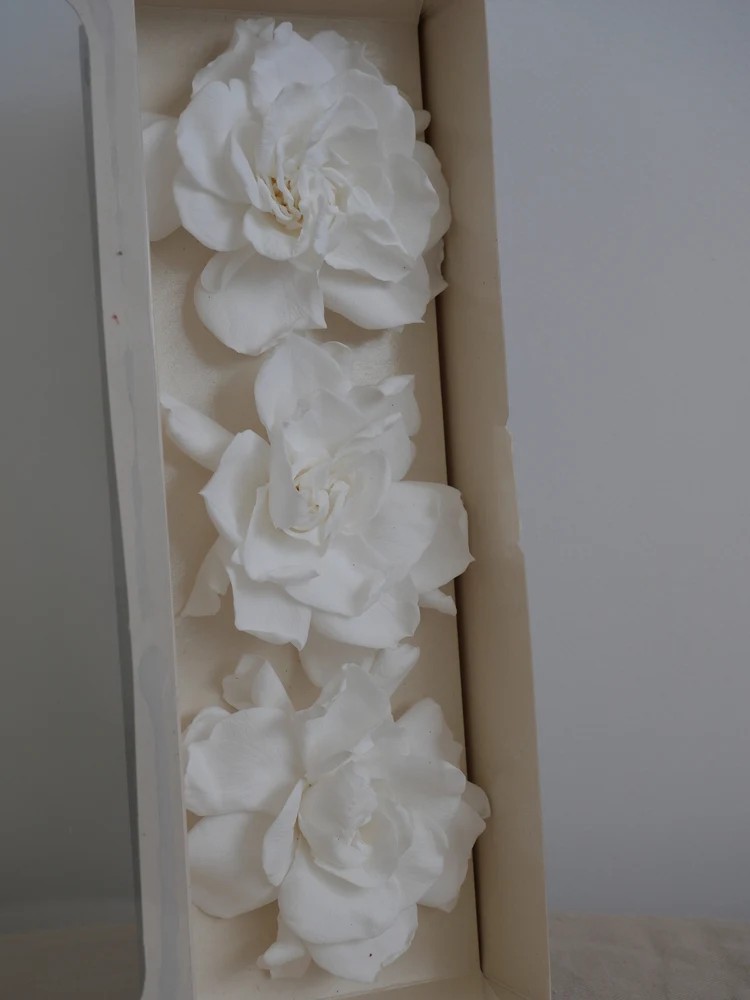 gardenia blanc stabilisé boite