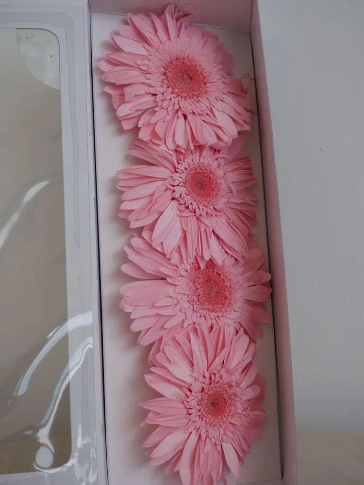 Gerbera Stabilisé rose boite