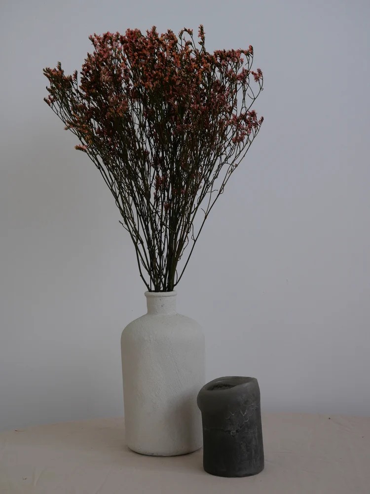 Limonium Stabilisé rose décoration intérieure