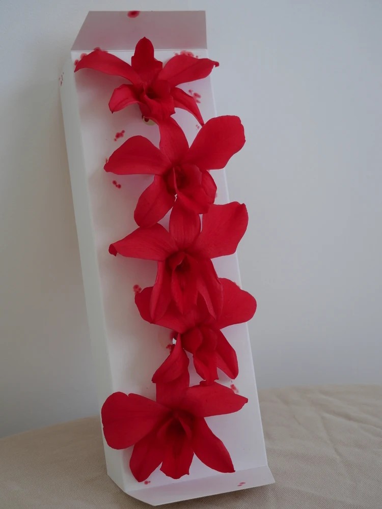 Orchidée stabilisée fushia boite