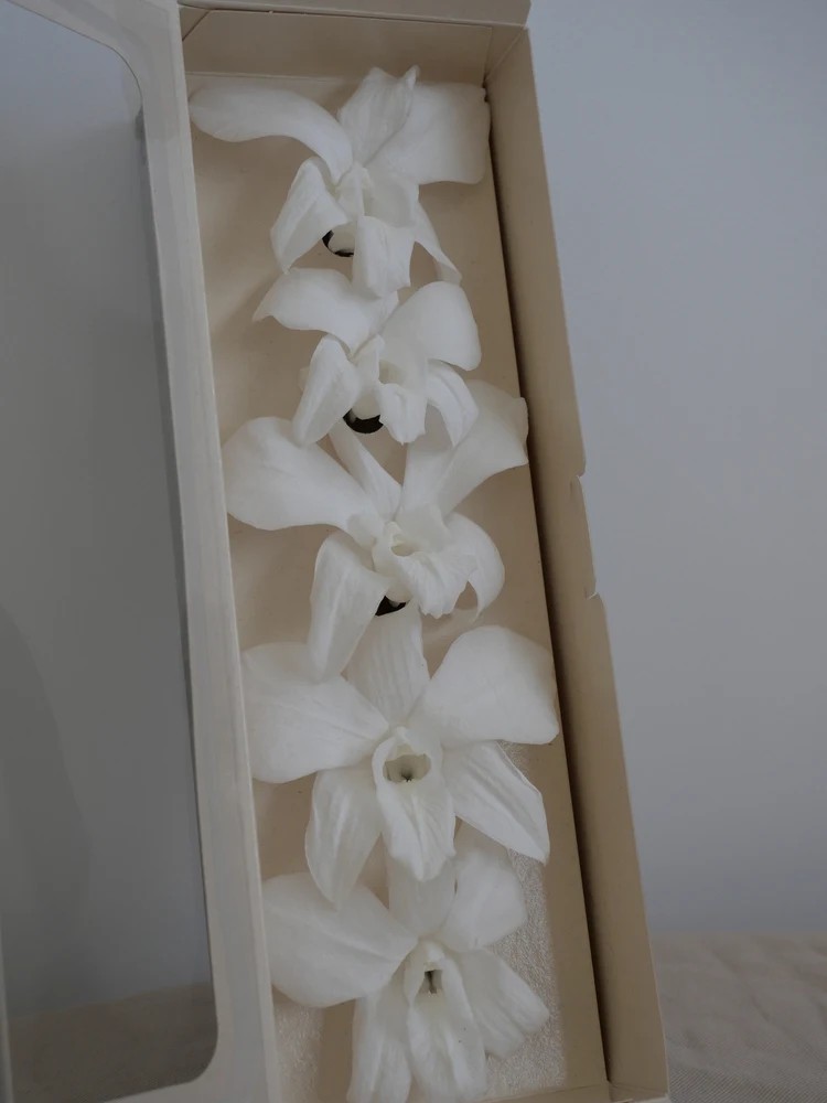 Orchidée stabilisée blanche boite