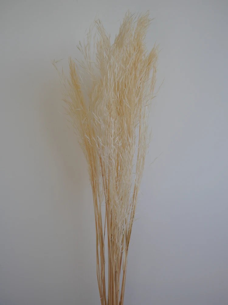 Andre Kise Séché blanc bouquet