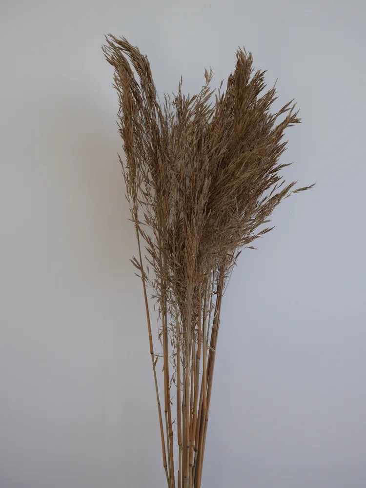 Andre Kise Séché naturel bouquet