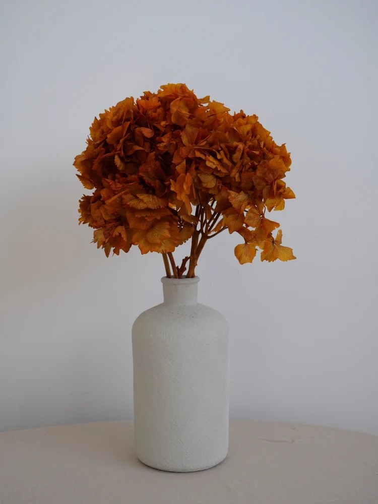 Hortensia Stabilisé orange decoration