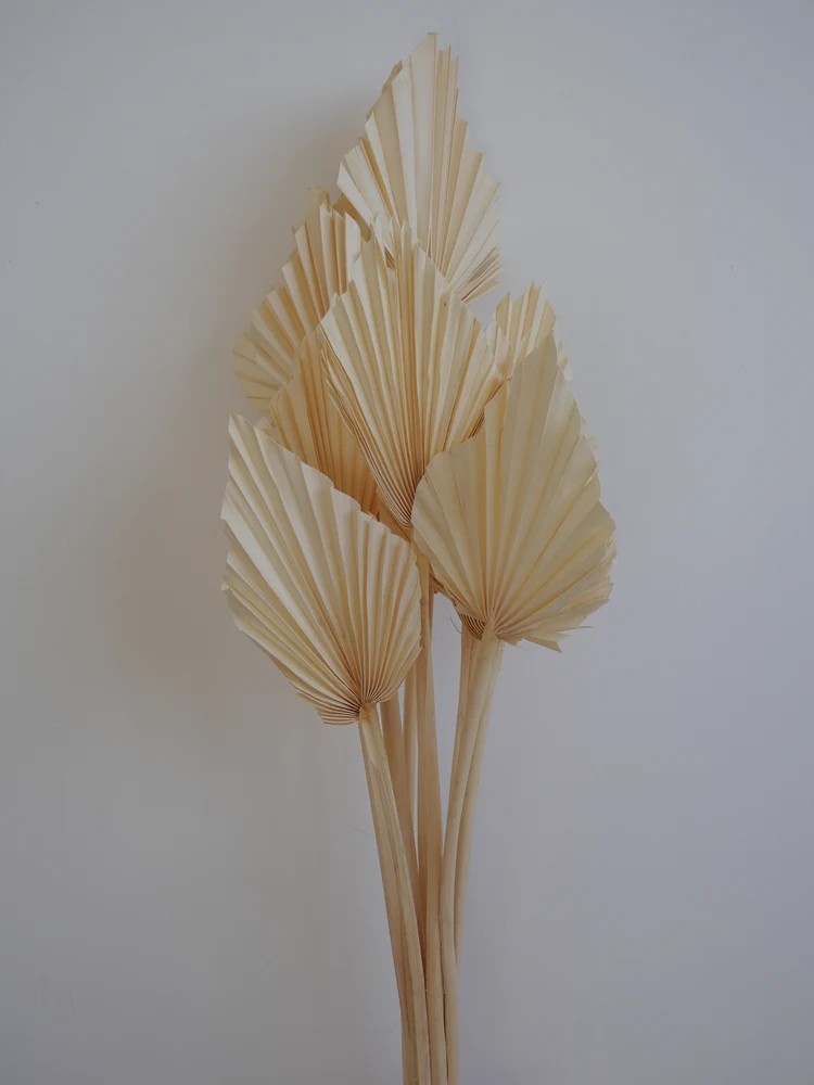 Palm Spear Séchée bouquet