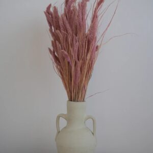 Setaria séché rose décoration