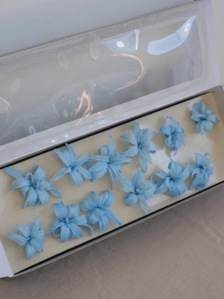 Tubéreuse bleu stabilisée boite