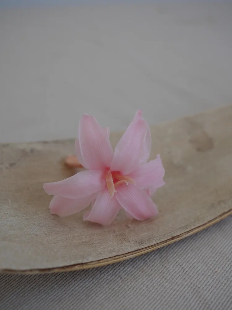 Tubéreuse rose stabilisée