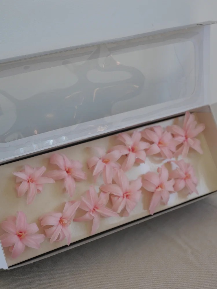 Tubéreuse rose stabilisée boite