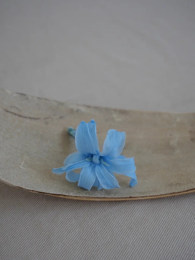 Tubéreuse bleu stabilisée