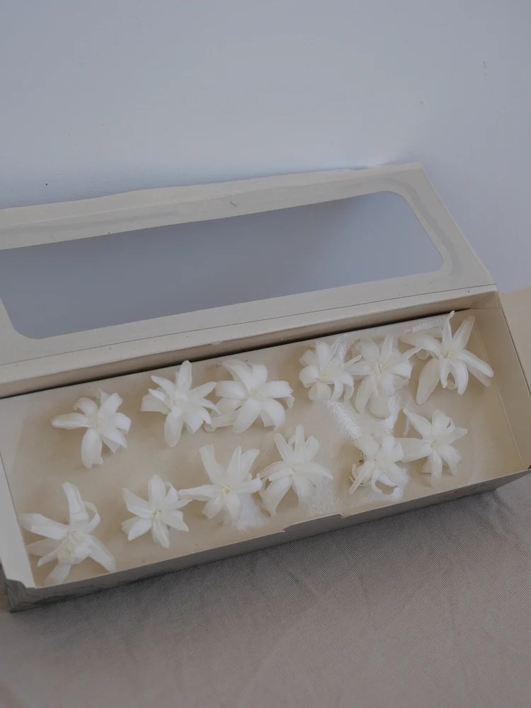 Tubéreuse blanche stabilisée boite