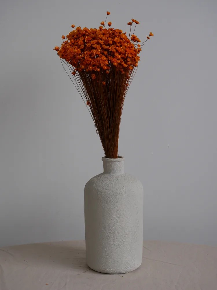 Glixia stabilisé orange décoration