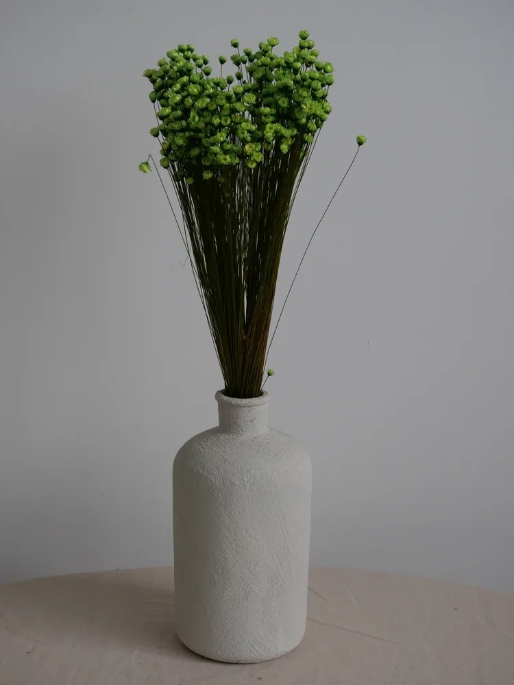 Glixia stabilisé vert décoration