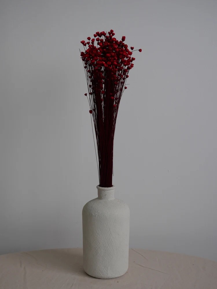 Glixia stabilisé rouge