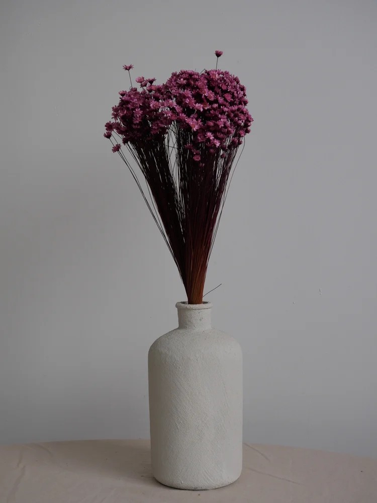 Glixia stabilisé violet