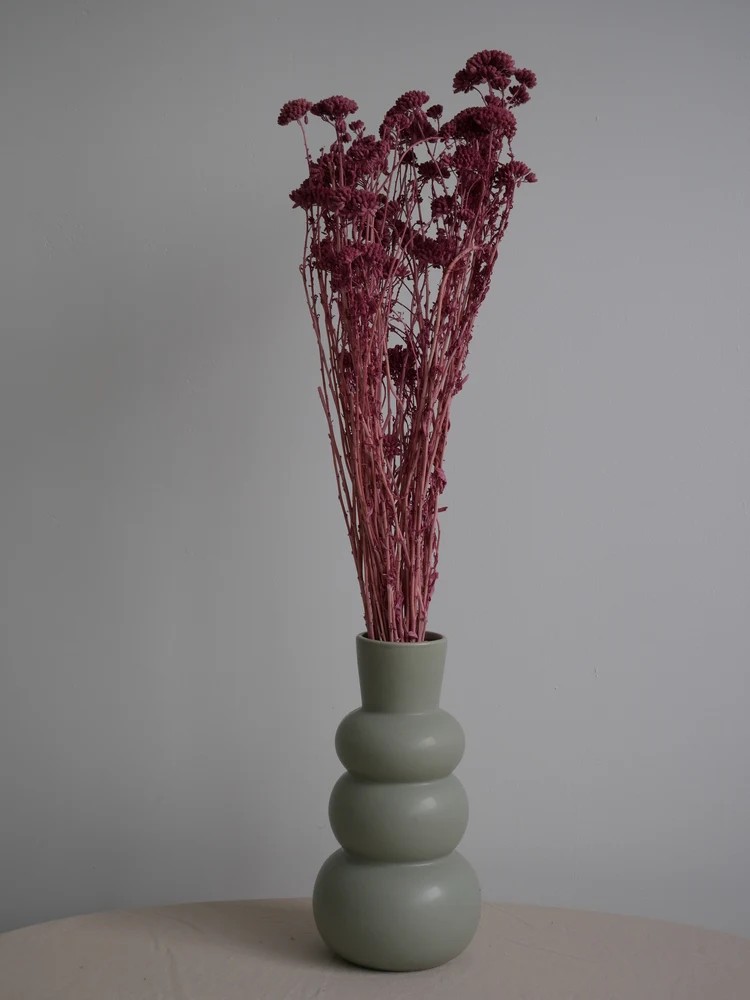 Achilea stabilisée rose bouquet