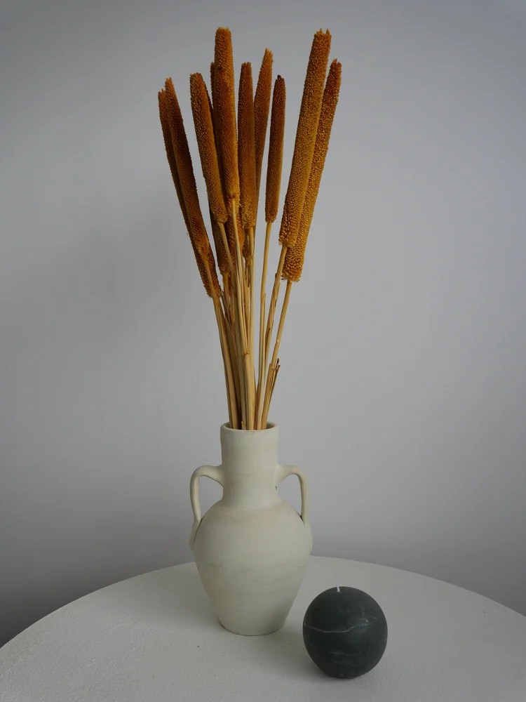 babala stabilisé orange décoration vase