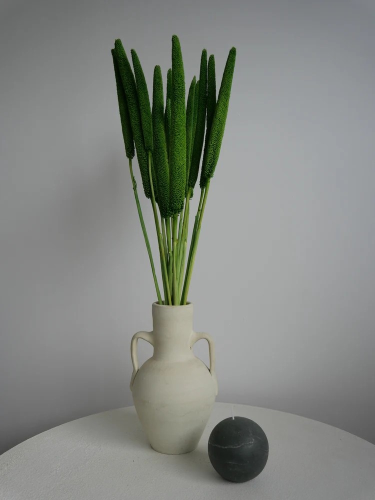 babala vert stabilisé décoration bouquet
