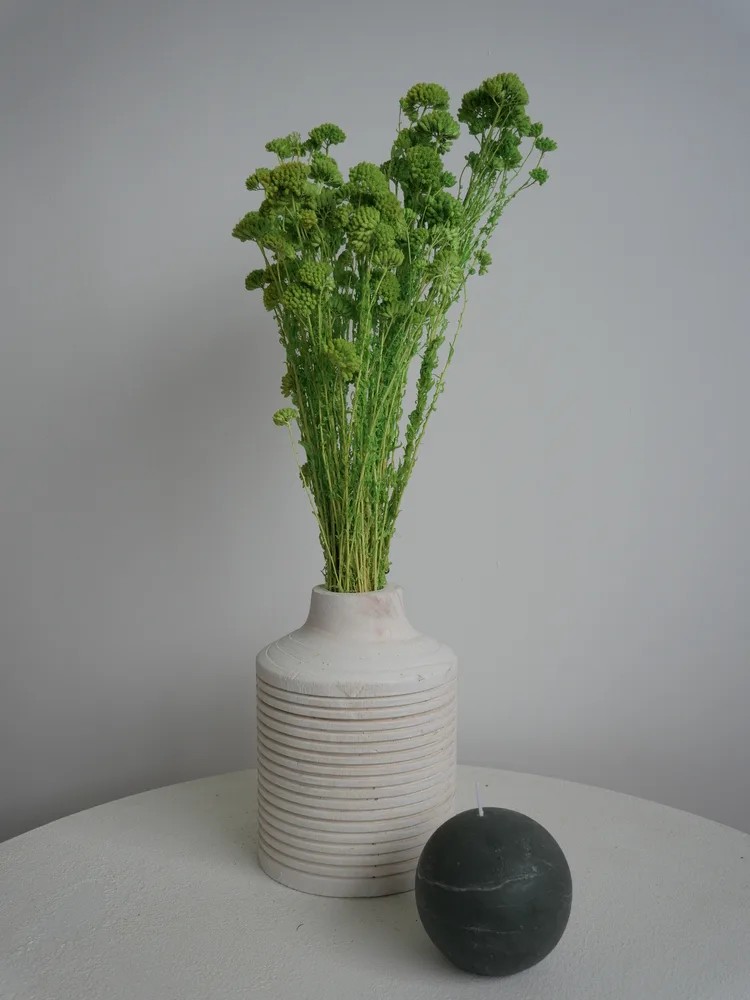 Achilea stabilisée vert