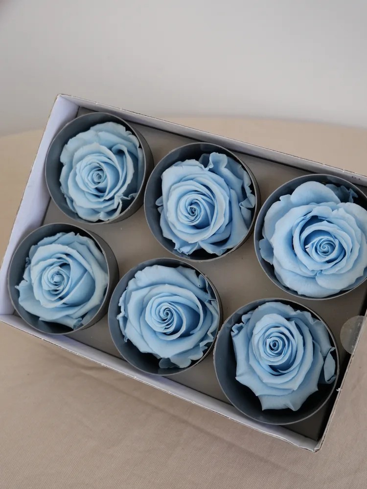 rose stabilisée bleu ciel boite