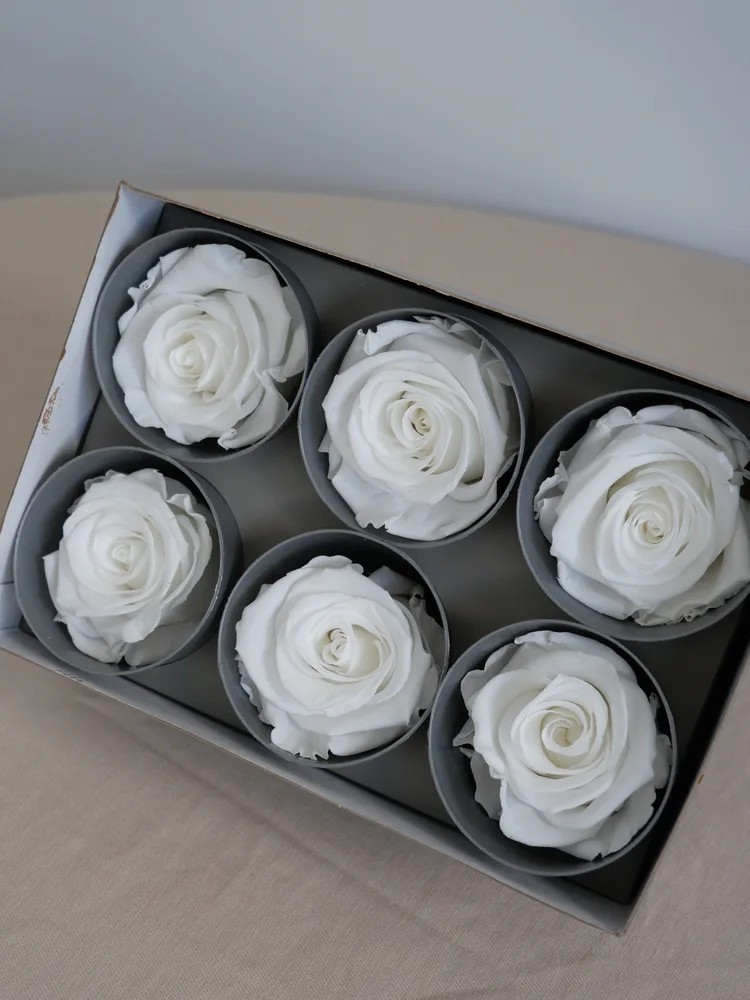 rose stabilisée blanc boite