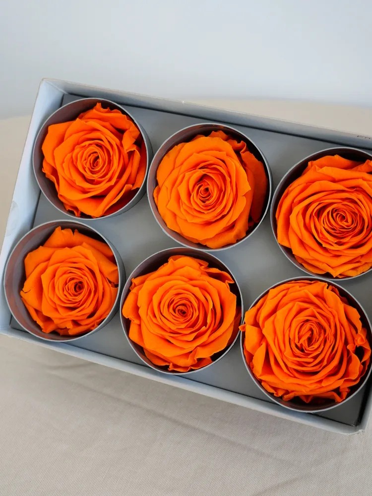 rose stabilisée orange boite