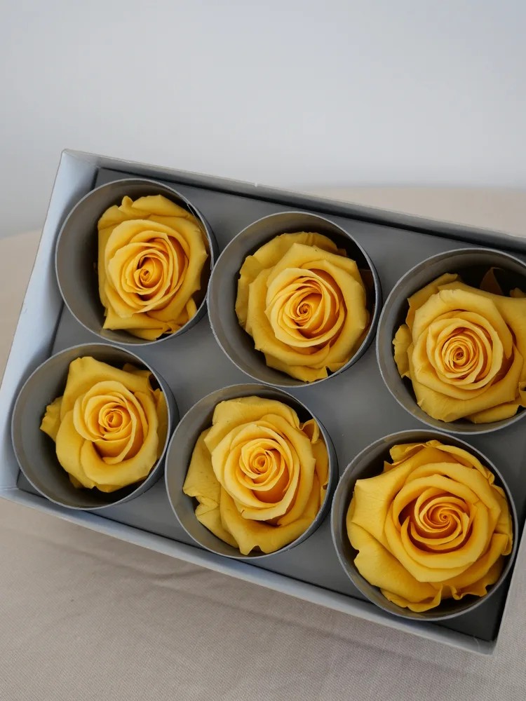 rose stabilisée jaune