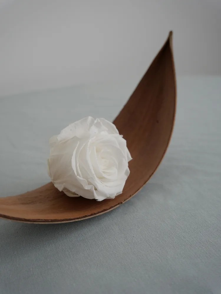 rose stabilisée blanche