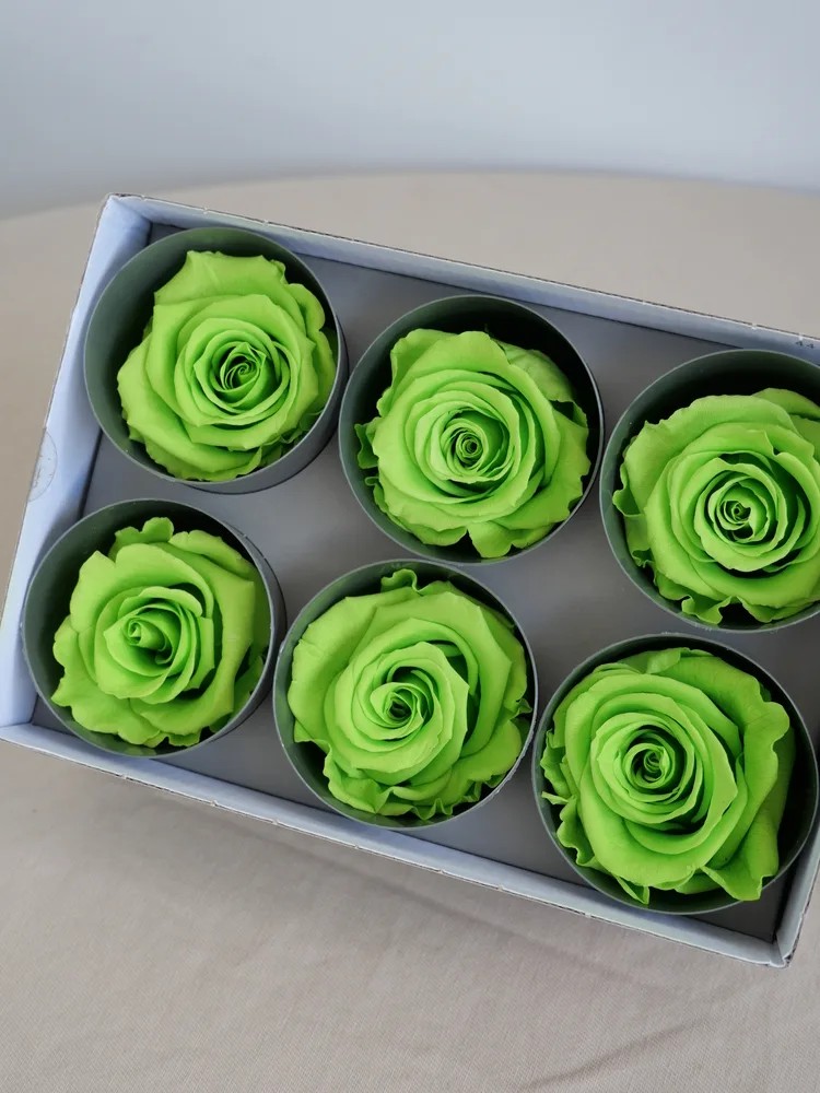 rose stabilisée vert