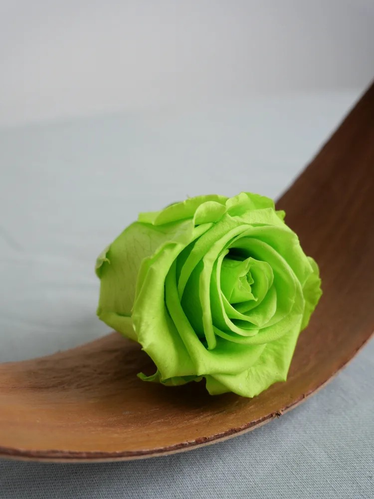 rose stabilisée vert