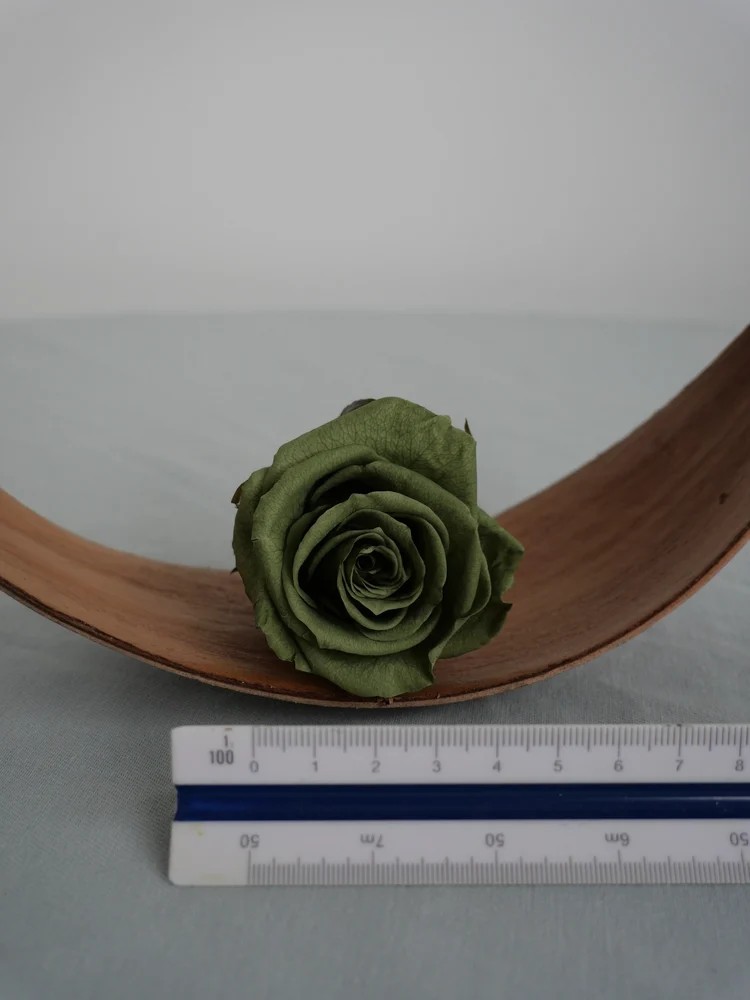 rose stabilisée vert thé