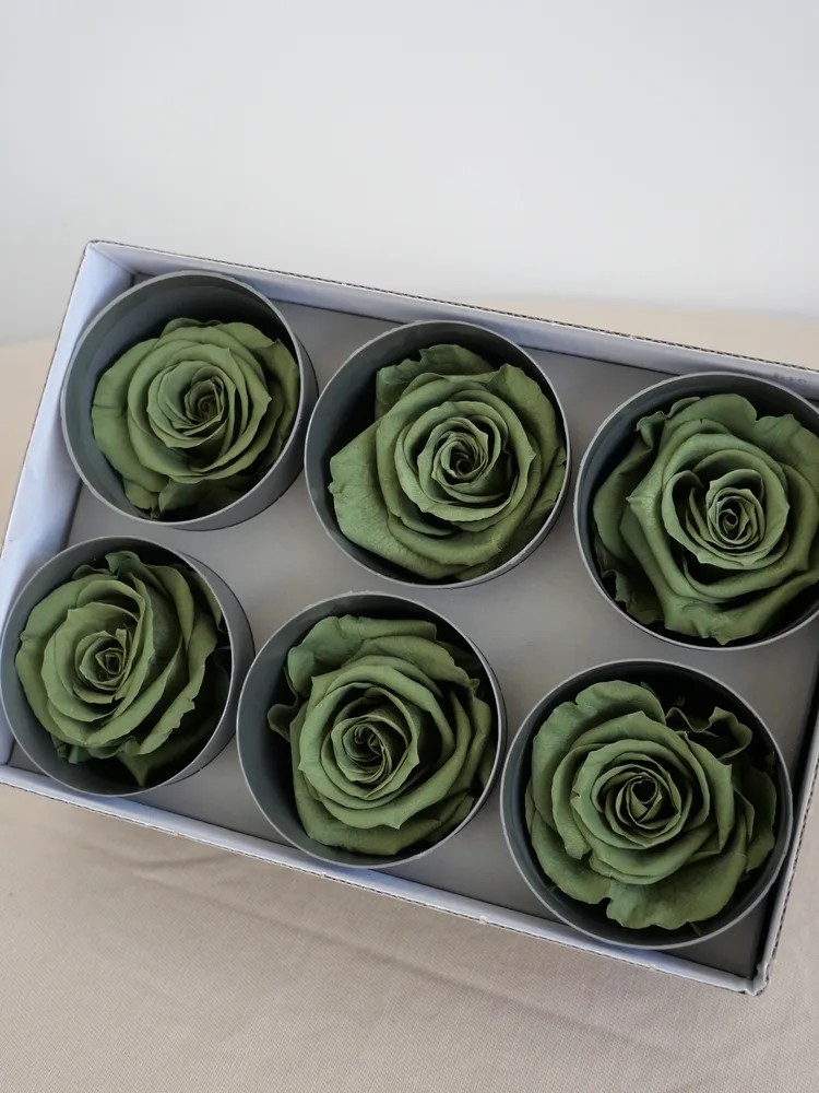 rose stabilisée vert thé