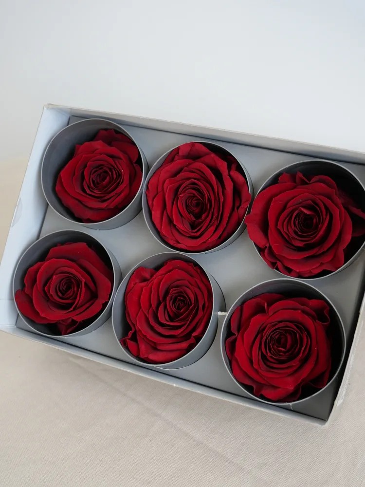Rose stabilisée burgundy boite