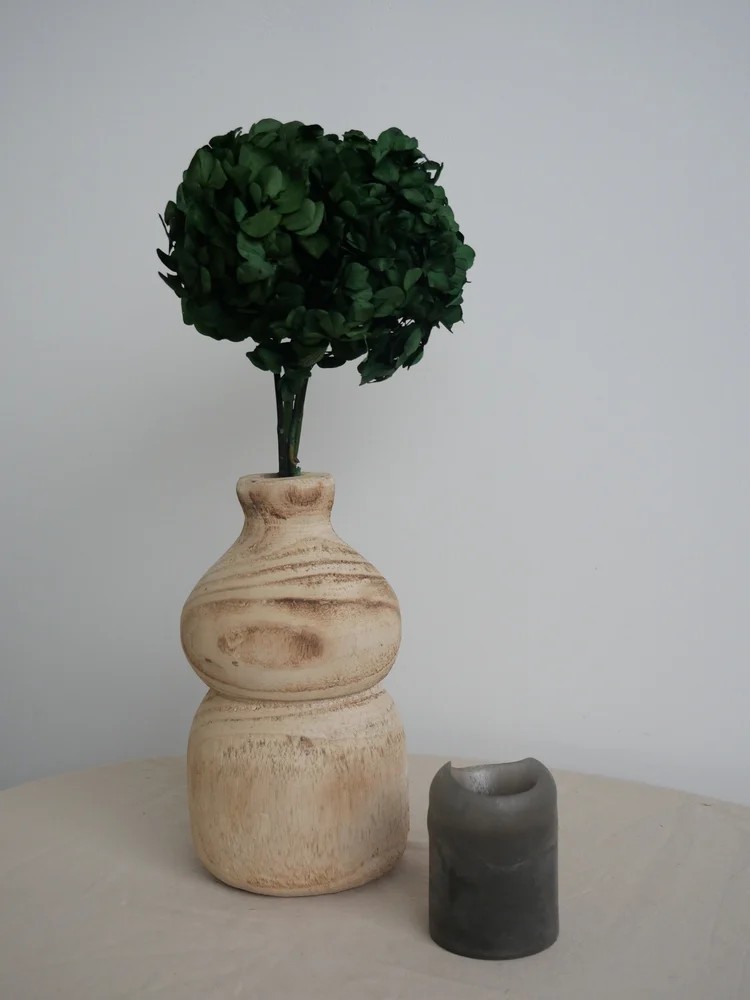 Hortensia Stabilisé vert