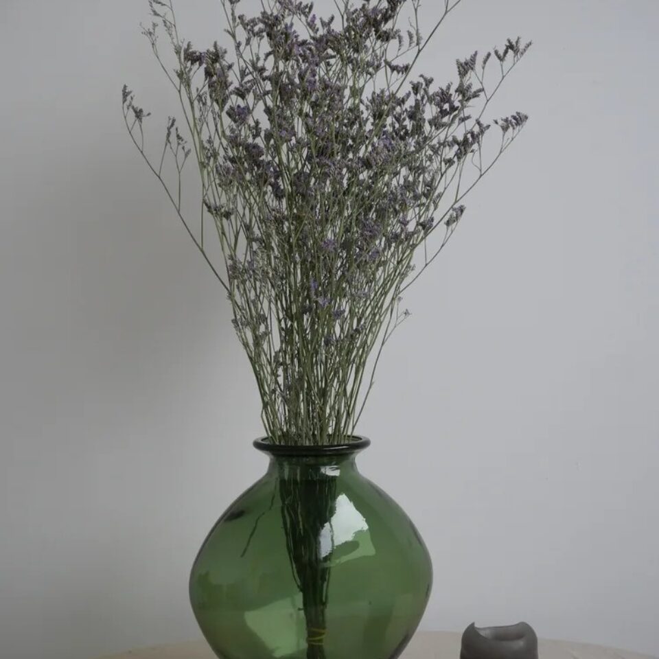 Limonium Stabilisé