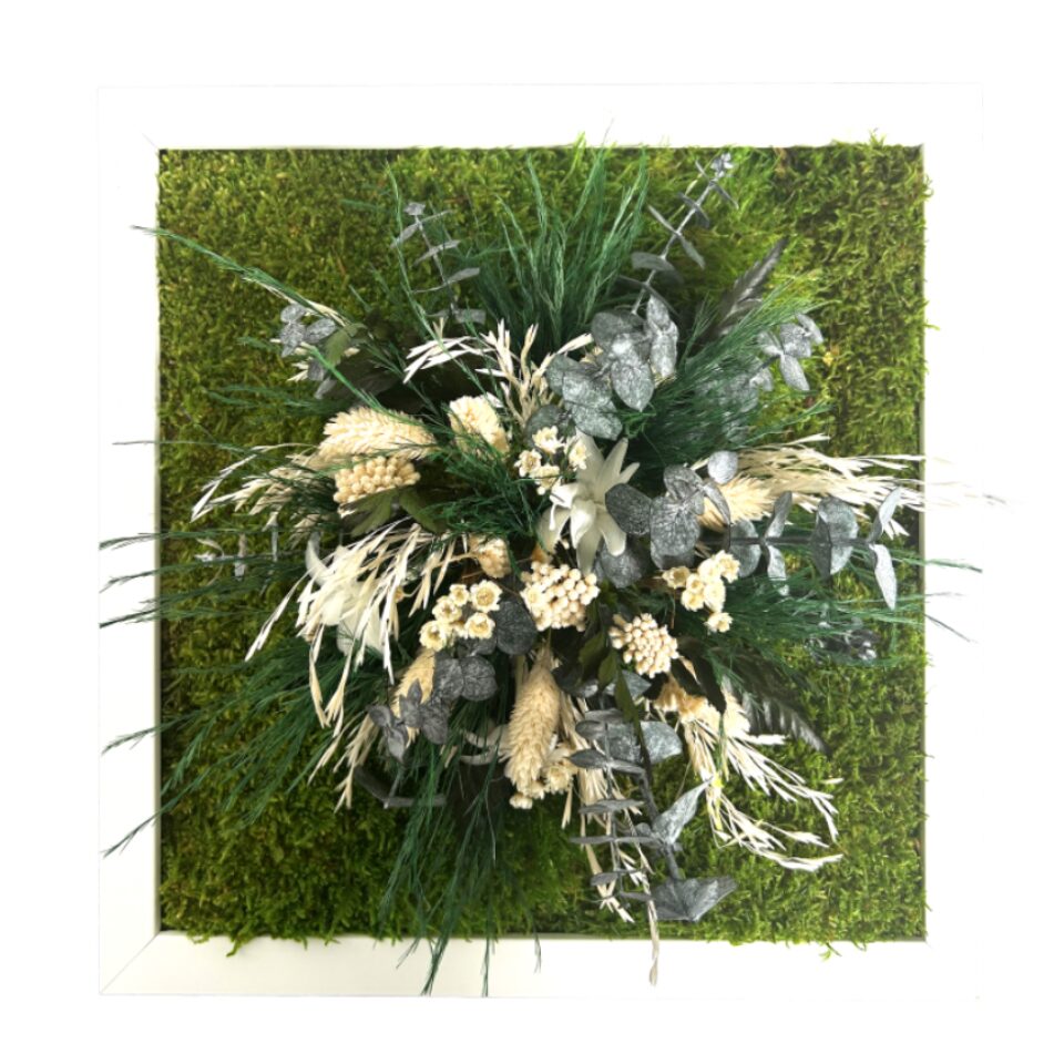 30×30 Tableau Végétal Explosion