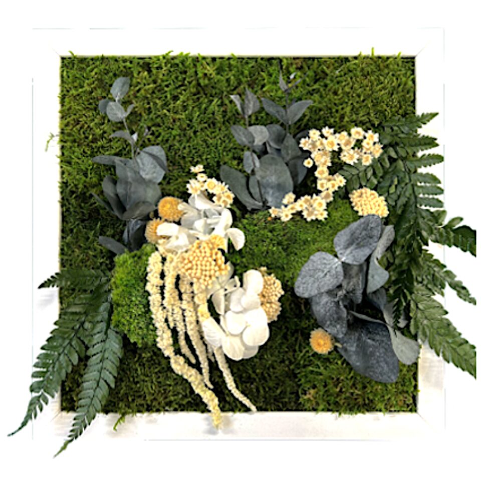 30×30 Tableau Végétal Blanche