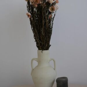Immortelle Séchée