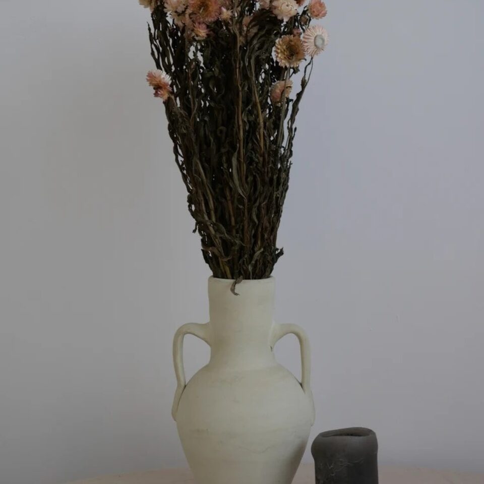 Immortelle Séchée
