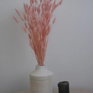 Lagurus séché rose