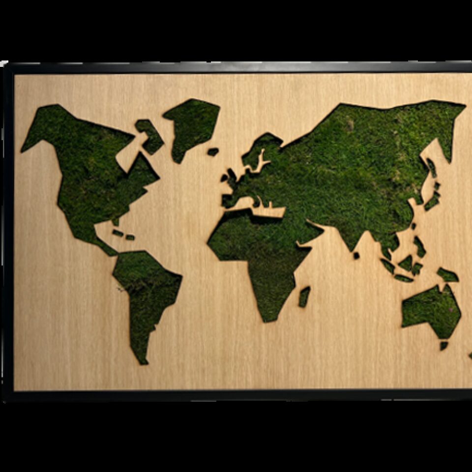 100×70 Tableau Végétal Map Monde